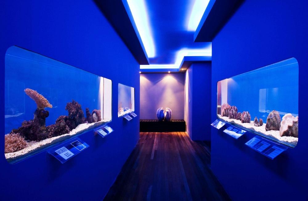 Gayana Marine Resort 코타키나발루 외부 사진
